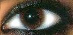 Avatar utente